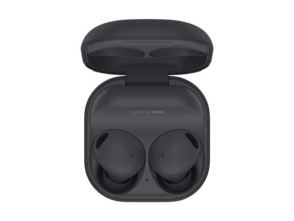 Samsung Galaxy Buds2 (Grafiet, Zwart)