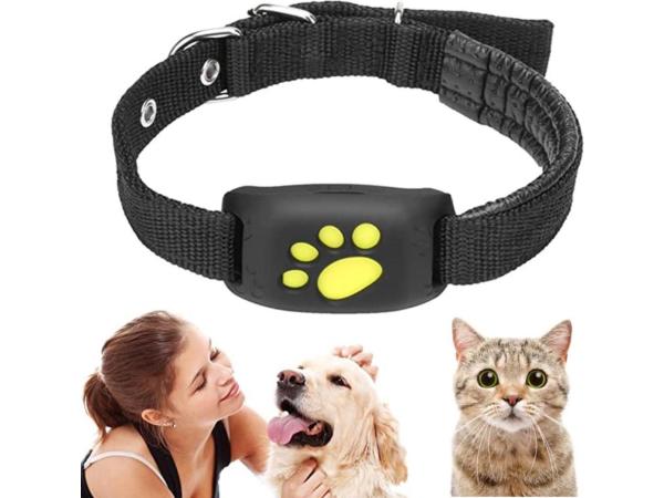 GPS Tracker voor Hond & Kat - 2G sim - Zonder Abbonement - 43/58 cm Kraag omtrek - 3-5 dagen standby - Waterproof