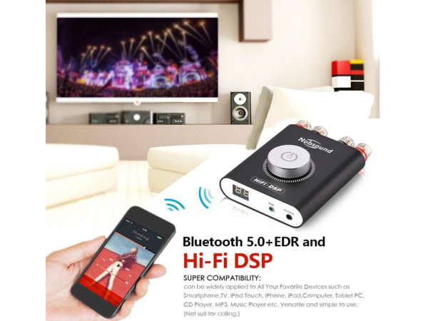 Nobsound NS-20G Mini Digital Power Amplifier1
