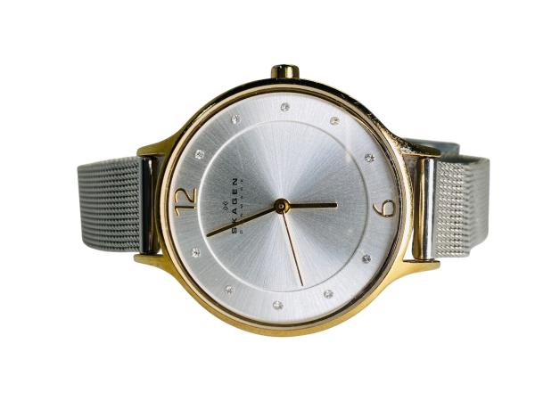 Modern Skagen Denmark | Crystal Indices | Two-Tone Mesh