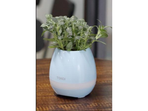 Smart Bloempot & Bluetooth Speaker - Blauw