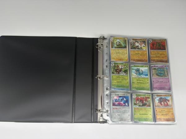  Pokémon Reverse // Holo Map