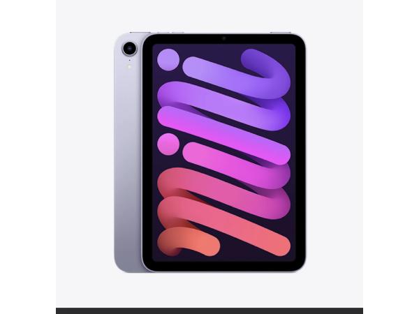 Apple iPad Mini 6th Gen 256GB Grijs 2021