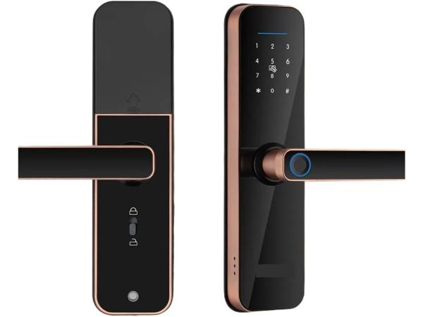 Tuya Wifi Elektronisch Slim Deurslot met Vinrafdruk