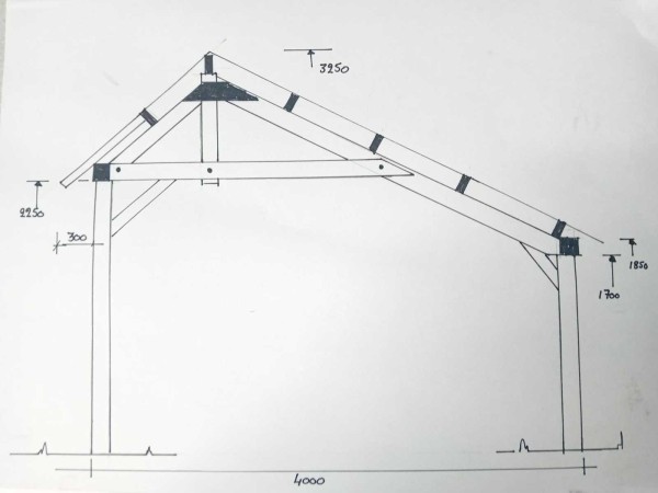 douglas-kapschuur-met-dakpanplaat-669x460x325-cm