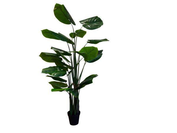 Kunstplant Philodendron 210 cm