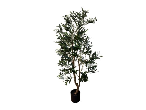 2x Kunst  Olijfboom 180 cm