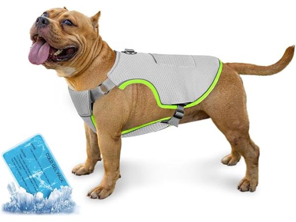 Koelvest voor honden (XXL)