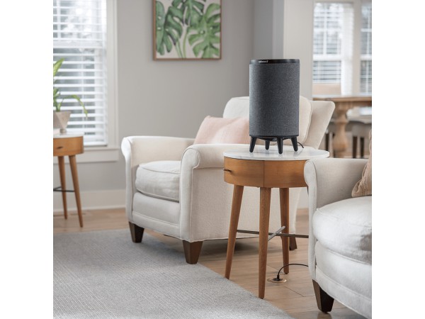 Bissell-myair-hub-black-3172N-3