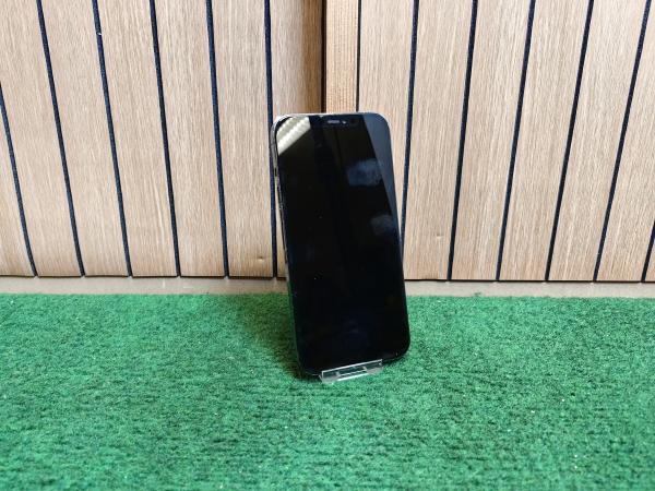 Apple iPhone 12 Pro Max - Geen Face ID