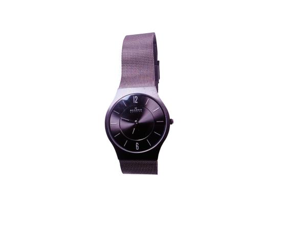 Skagen Denmark | Ultra Slim Titanium Horloge