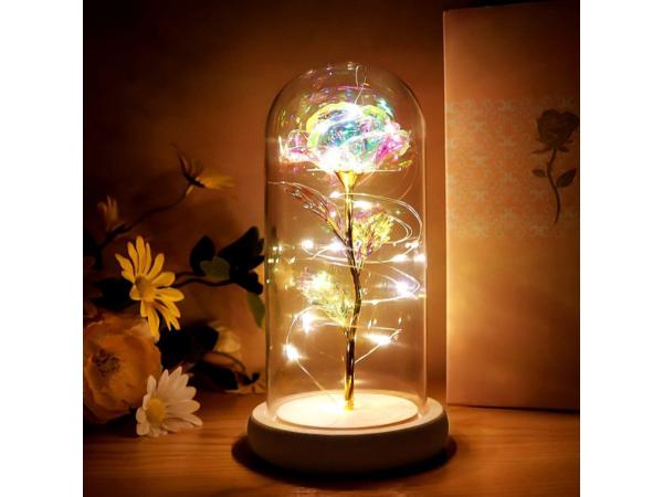 Galaxy Roos in Glazen Stolp met LED - Kerst cadeau 