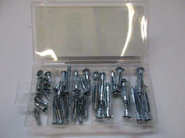 Assortiment Ankerpluggen 40-delig