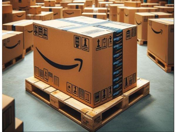 Amazon FBA Overstock Palletbox — Alles Nieuw! #1