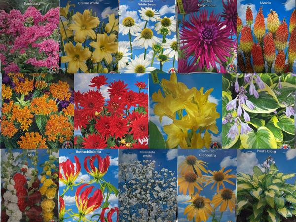 Bloembollen Mix – 20+ Soorten Exclusieve Tuinbloeiers 