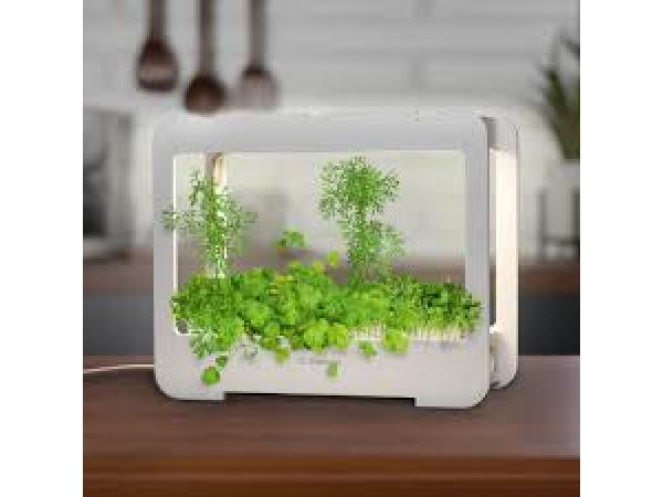 LED Plantenkweekbox met Timer - 4000K Groeilicht - 14Watt