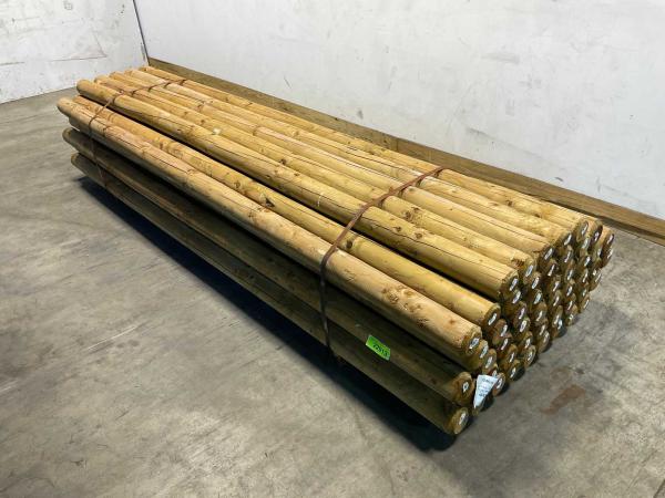 50x Paal rond gefreesd 1 zijde gekroond ø10x300cm