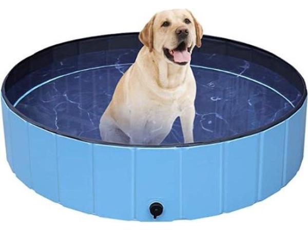 iBello Hondenzwembad 120x120x30cm