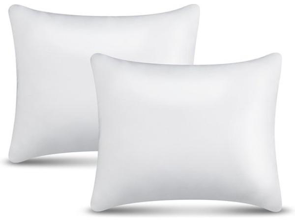 Hoofdkussens Nasa Traagschuim Set van 2