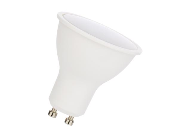 50x 4.9W GU10 LED Spot 4000K