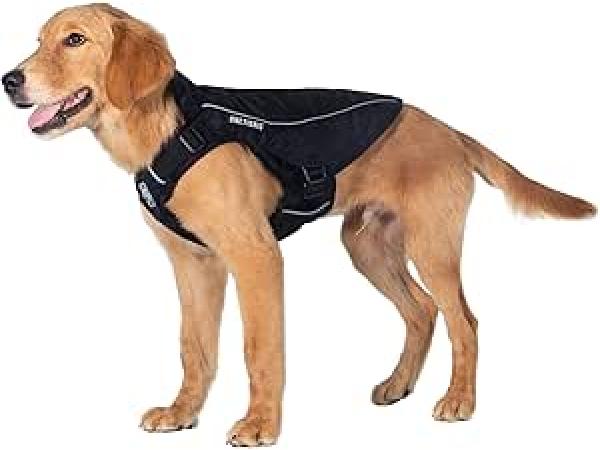 OneTigris Achilles Dog Jacket M.