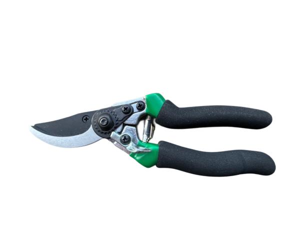 Pruning shears