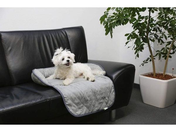 Dog cushion - Grey - 60x40x12cm