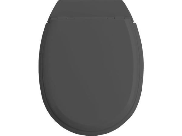 Allibert wc-bril ATLAS - geperst hout - afklikbaar - met regelplaat - anthraciet grijs gelakt