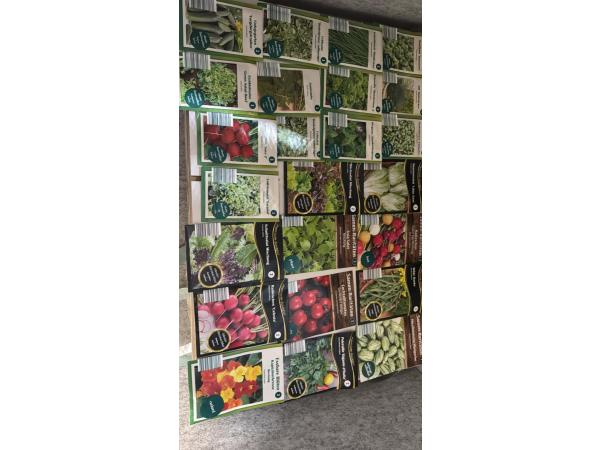 Kruiden en sla zaden mix salade uit eigen tuin