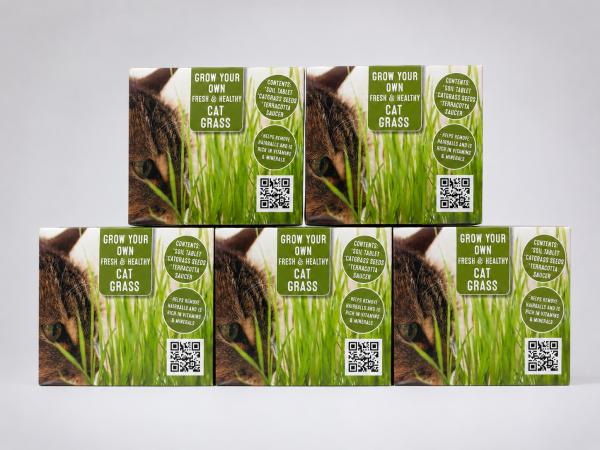 5x Katten Gras Kweekset Cat Grass