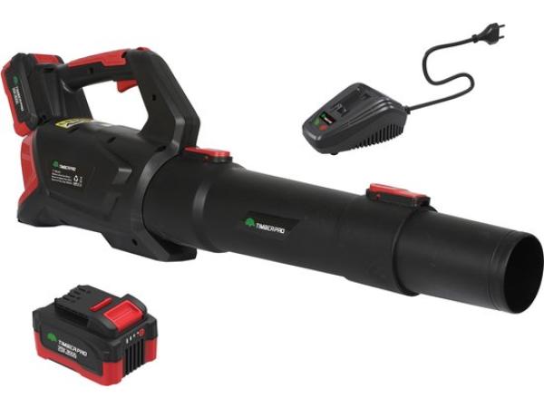 Bladblazer Elektrisch - 20V - 2Ah Batterij - Zwart