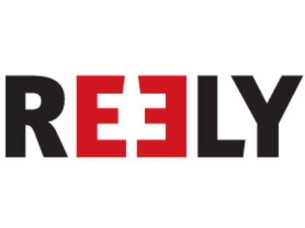 Reely 1717533 Afstandsbediening1