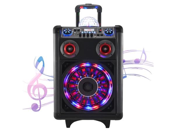SEAAN Karaokemachine met microfoon