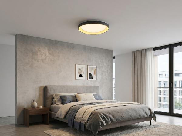 Plafondlamp Zwart 62cm 50W LED CCT 3 Kleur 3 Stappen Dimmen