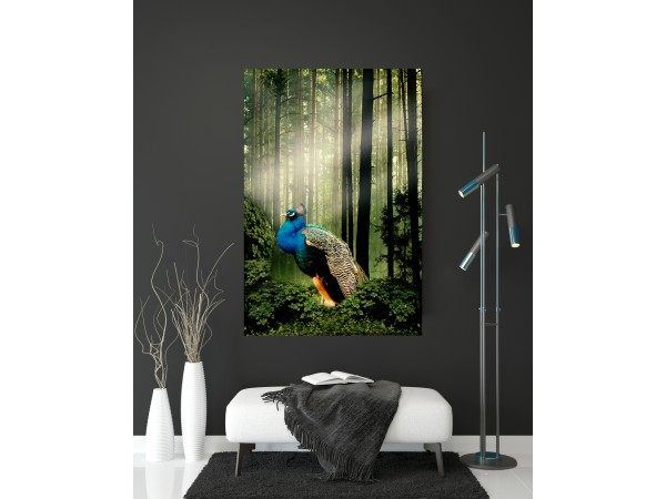 2250-Pauw-Jungle.1