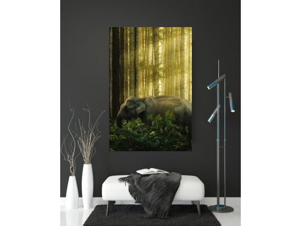 2249-Olifant1-Jungle-1