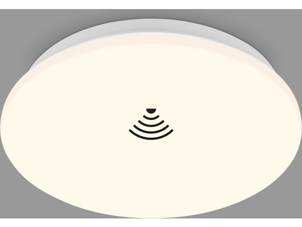 4002707445852_1