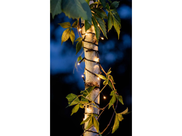 Hellum LED lichtketting, 40 LEDs, buiten & binnen