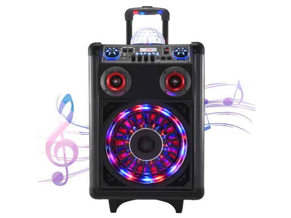 SEAAN Karaokemachine met microfoon