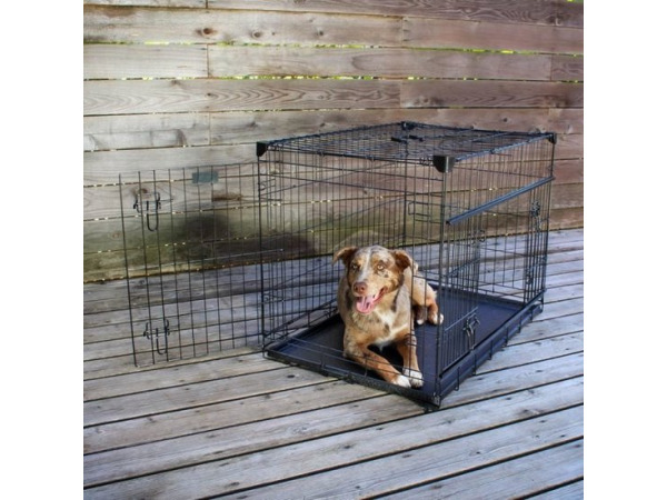 Lucky Dog bench met tussenschot 106x71x78cm