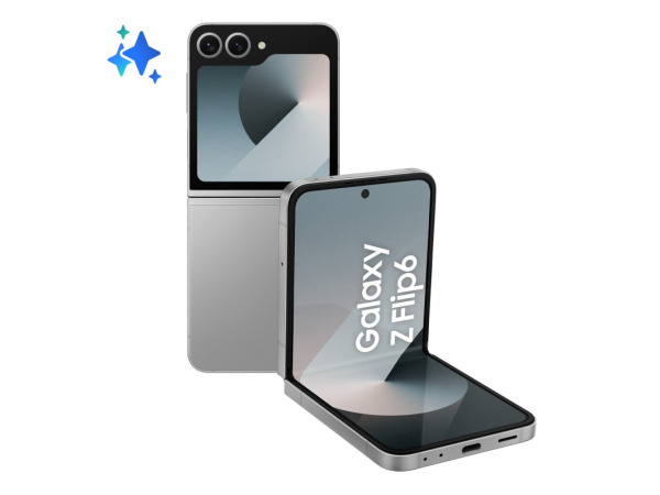SAMSUNG Z Flip6 SM-F741B - 256 GB Zilver 5G - DEFECT