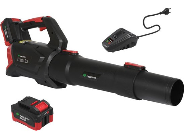 Bladblazer Elektrisch - 20V - 2Ah Batterij - Zwart