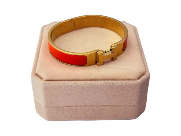 Elegante Bangle Armband met H-Sluiting