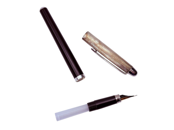 Caran d'Ache | Madison Elegante Bicolor Vulpen met Gegroefde Verzilverde Dop – foto 5 – kavel bij XL Auctions