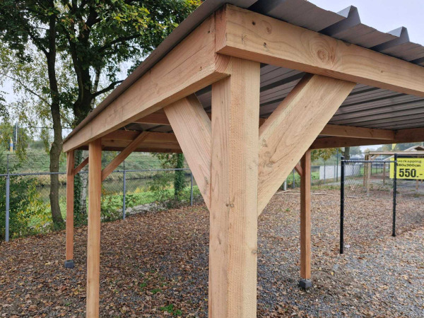 Douglas overkapping 1210x310x300 cm – foto 6 – kavel bij XL Auctions