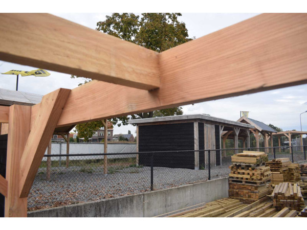 Douglas carport frame met berging 720x510x235 cm – foto 2 – kavel bij XL Auctions