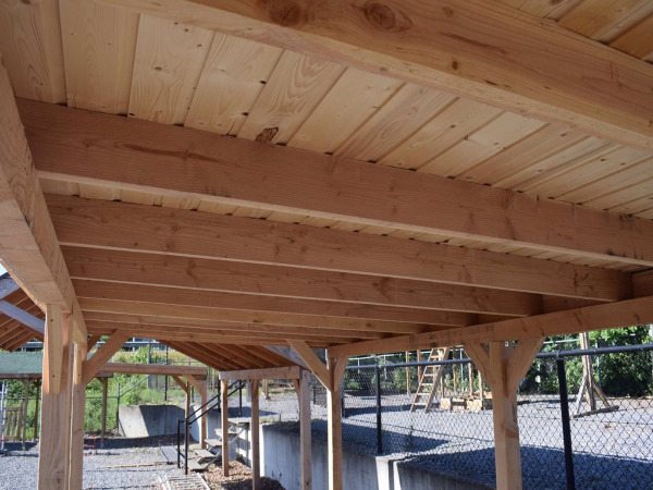 Douglas overkapping 600x300cm – foto 2 – kavel bij XL Auctions