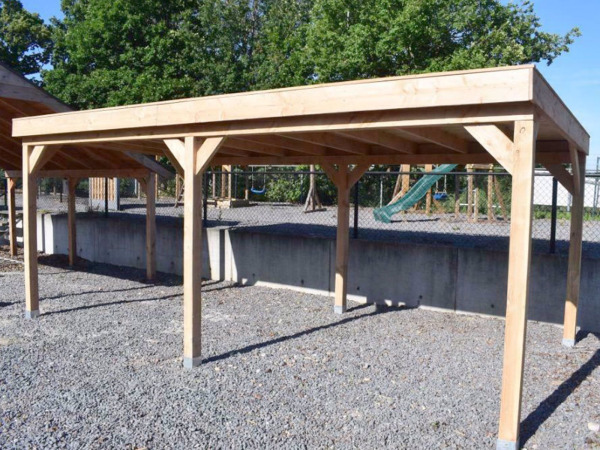Douglas overkapping 500x300cm – foto 4 – kavel bij XL Auctions