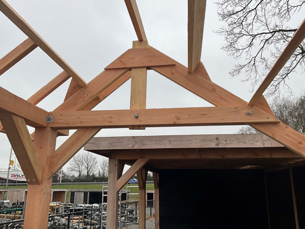 Traditionele Douglas kapschuur 805x460x325 cm – foto 8 – kavel bij XL Auctions