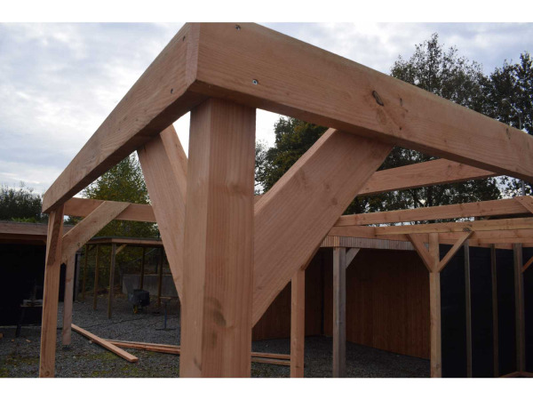 Douglas carport frame met berging 720x310x235 cm – foto 6 – kavel bij XL Auctions